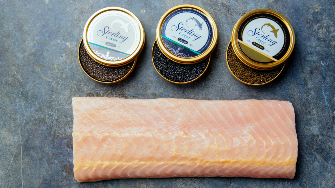 Sustainable Caviar