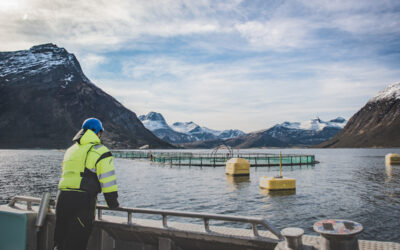 The Case for Sustainable Aquaculture: Why It’s Critical for Our World & How You Can Support It