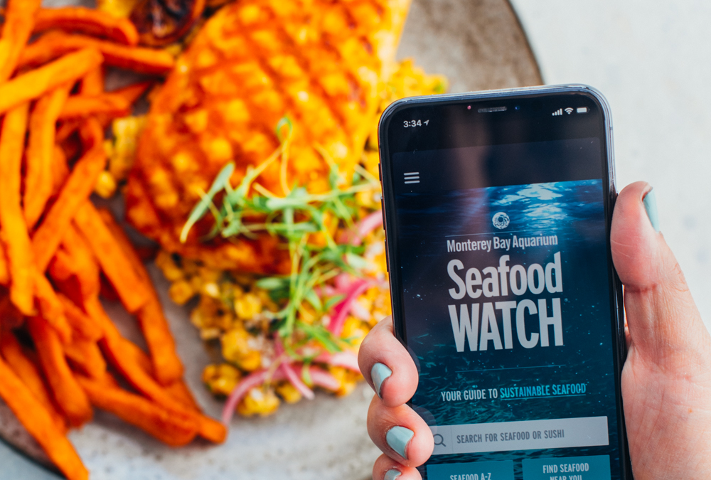 Seafood Watch: The Must-Have App For Choosing Sustainable Seafood