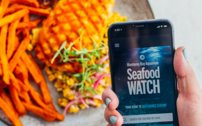 Seafood Watch: The Must-Have App For Choosing Sustainable Seafood